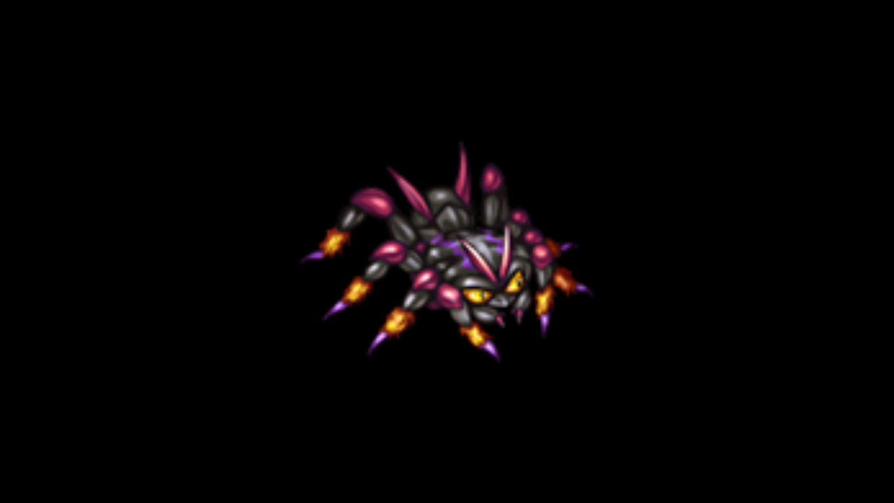 Araignée Sauvage